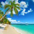 Best Hotels in Punta Cana – Where to Stay