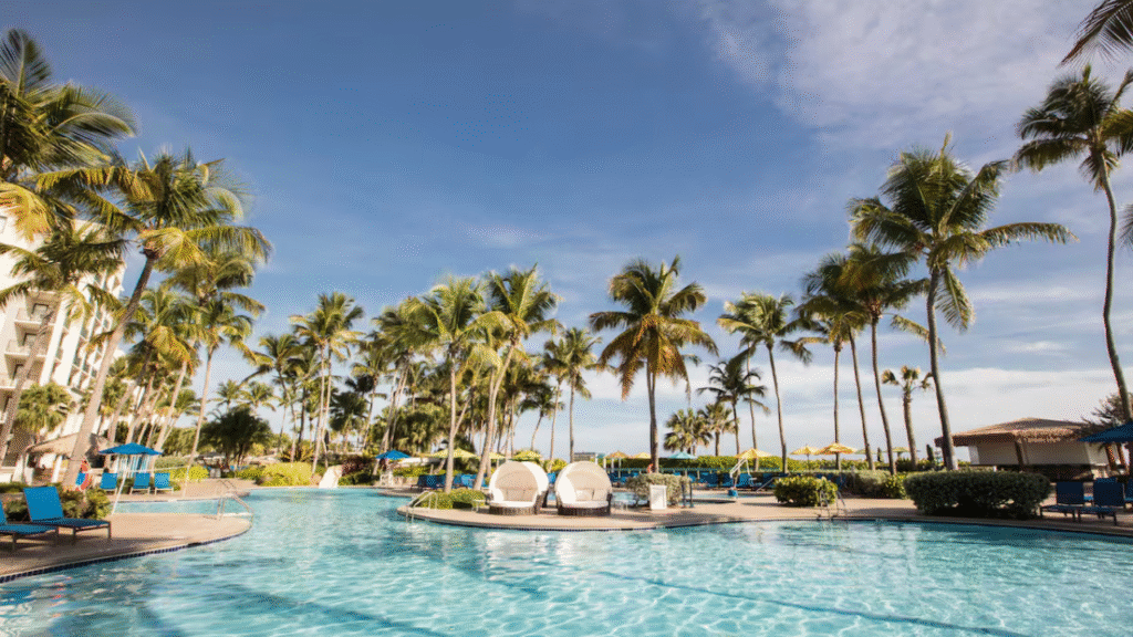 TOP 10 Best Hotels in Puerto Rico | From Budget to Luxury