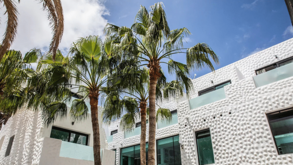 Best Hotels in Fuerteventura: Our Top 10 Picks for Every Budget