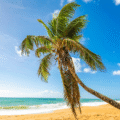 TOP 10 Best Hotels in Puerto Rico | From Budget to Luxury