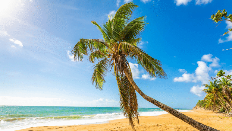 TOP 10 Best Hotels in Puerto Rico | From Budget to Luxury