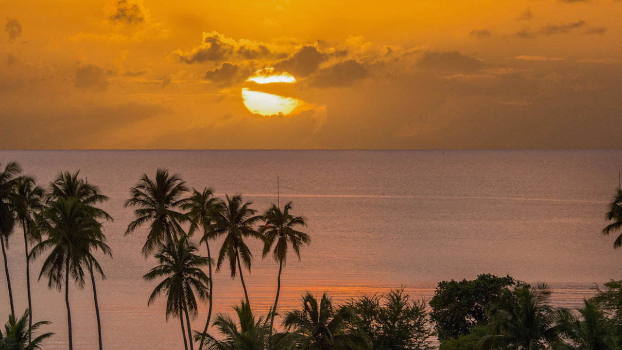 TOP 10 Best Hotels in Puerto Rico | From Budget to Luxury