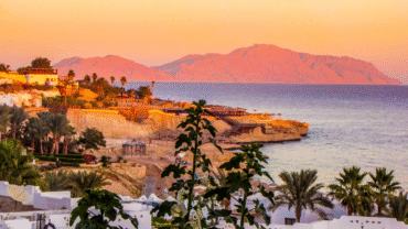 Where to Stay in Sharm El Sheikh: 5 Best Hotels for Every Travel Style